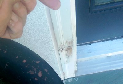 Caulk_over_flashing_causes_rot