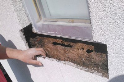 Severe rot under window.