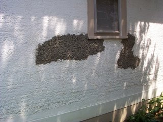 Pebble
                dash stucco