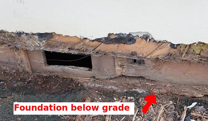 Framing below grade is a termite trap.