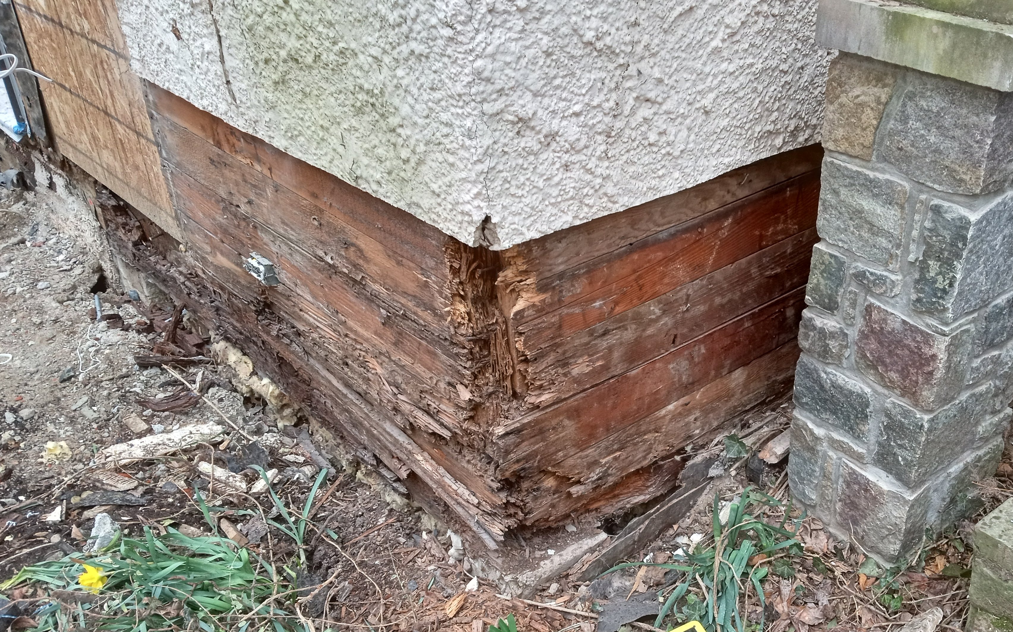 Termite damage in Washington, DC